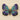 Mariposa Étoile Brooch