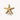 Layla Gold Starfish Hair Clip